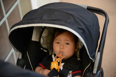 DSC_6311 (Large).JPG